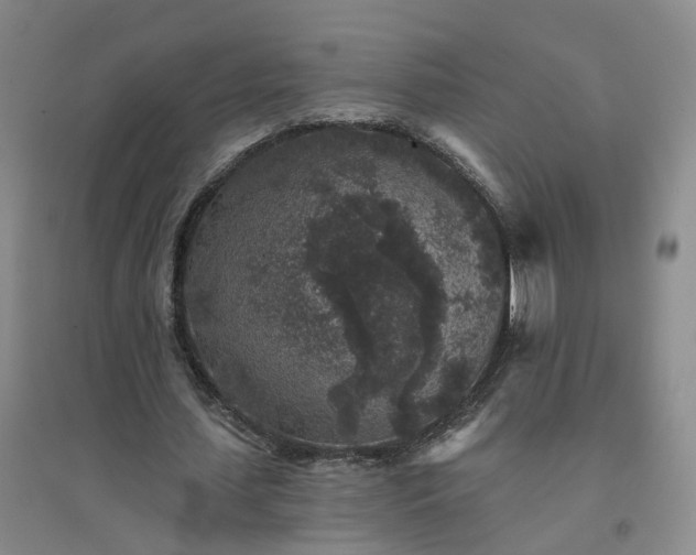 X0000094440627200711151405