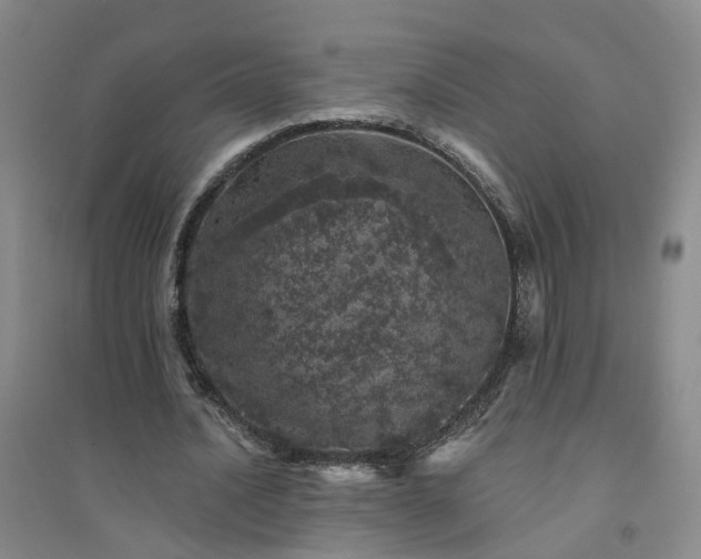 X0000094440628200711151405