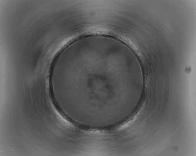 X0000094440629200711151405