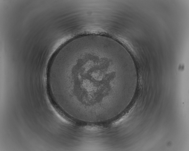 X0000094440630200711151405