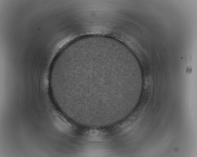 X0000094440632200711151406