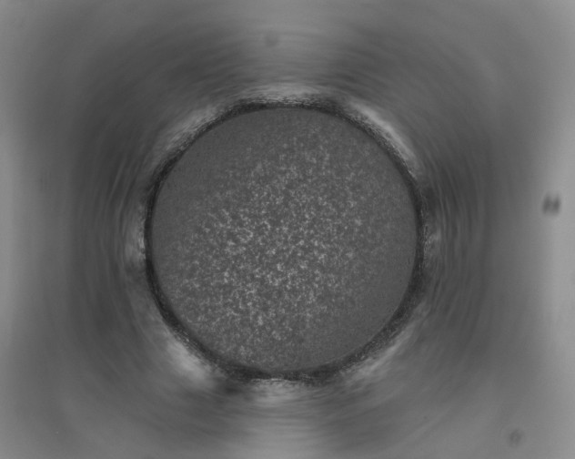 X0000094440633200711151406