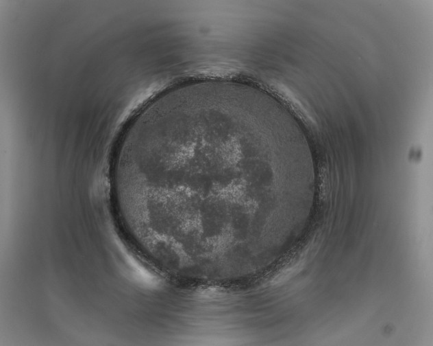 X0000094440634200711151406