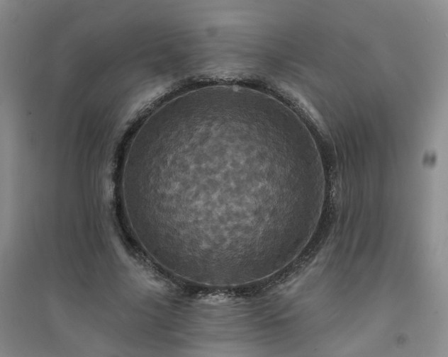 X0000094440635200711151406