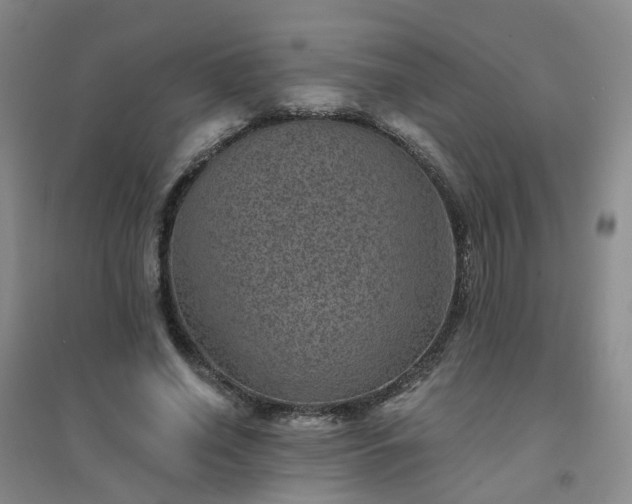 X0000094440638200711151406