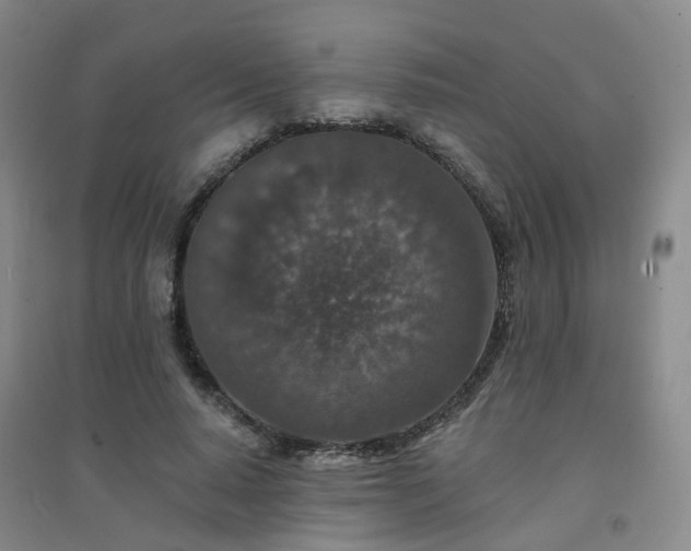 X0000094440640200711151406
