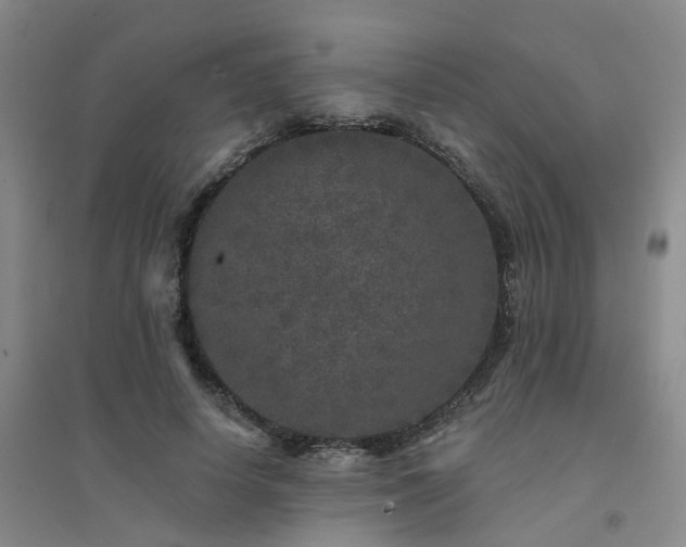 X0000094440642200711151406