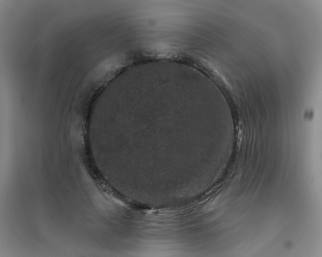 X0000094440643200711151406