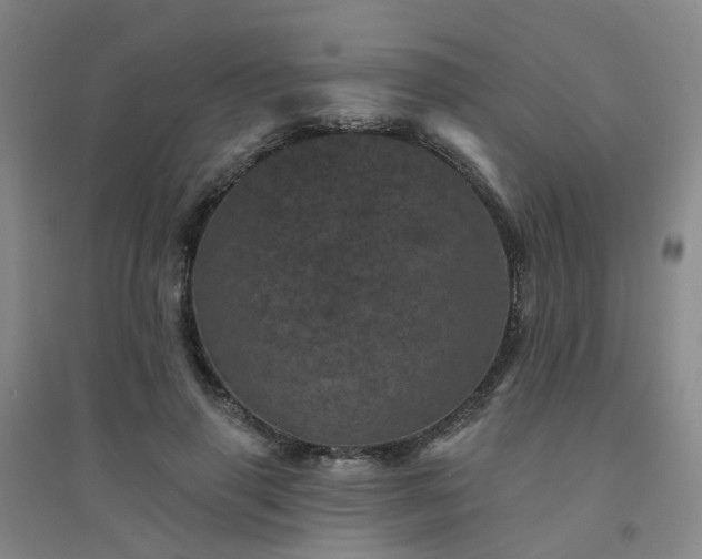 X0000094440645200711151406
