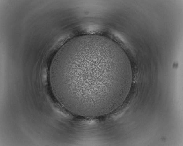 X0000094440646200711151406
