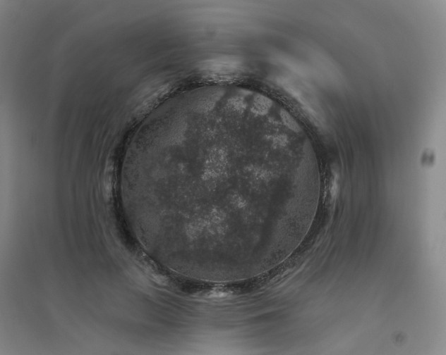 X0000094440647200711151406