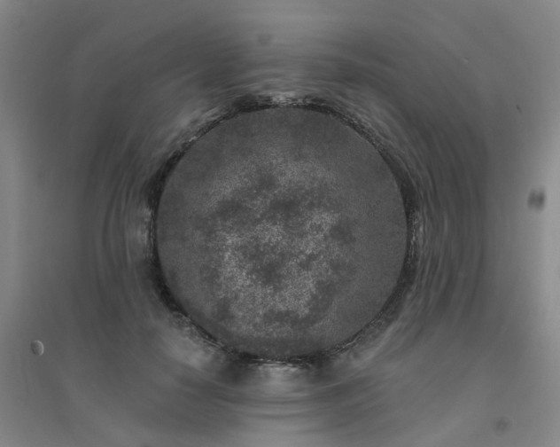 X0000094440650200711151406