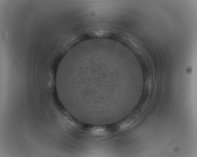X0000094440651200711151406