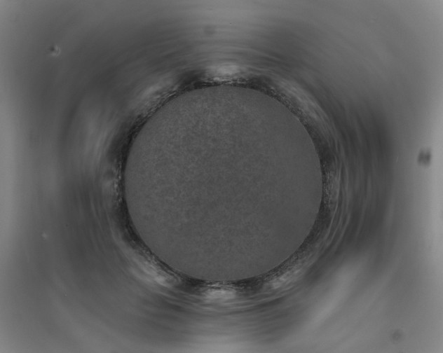 X0000094440653200711151406