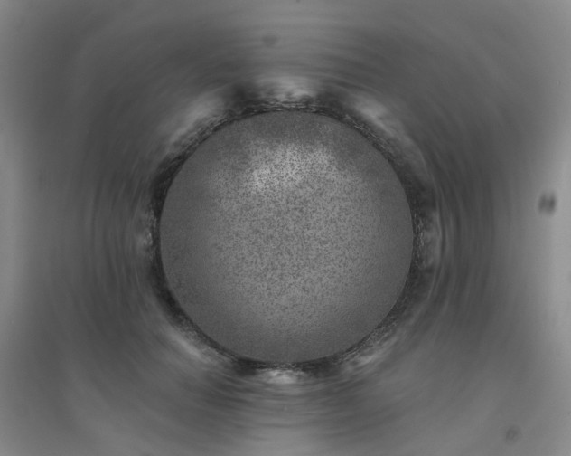 X0000094440654200711151406