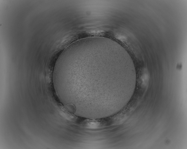 X0000094440658200711151406
