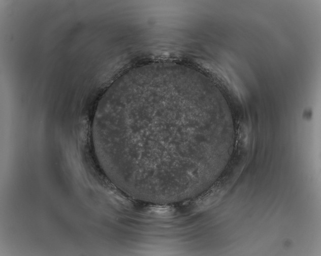 X0000094440659200711151406