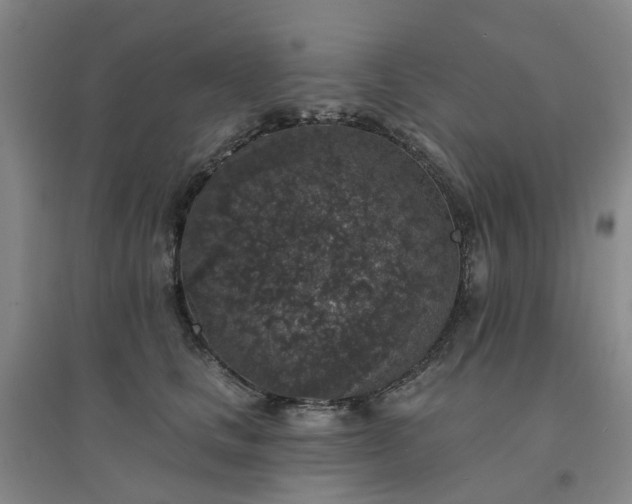 X0000094440661200711151406
