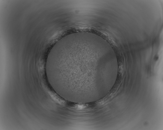 X0000094440662200711151406