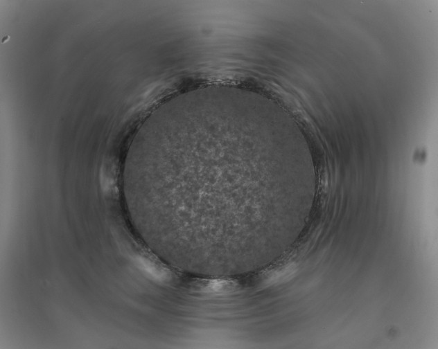 X0000094440663200711151406