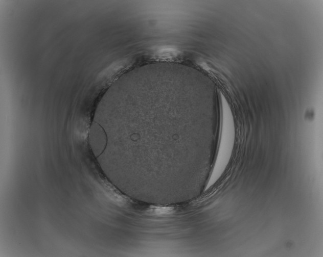 X0000094440665200711151406