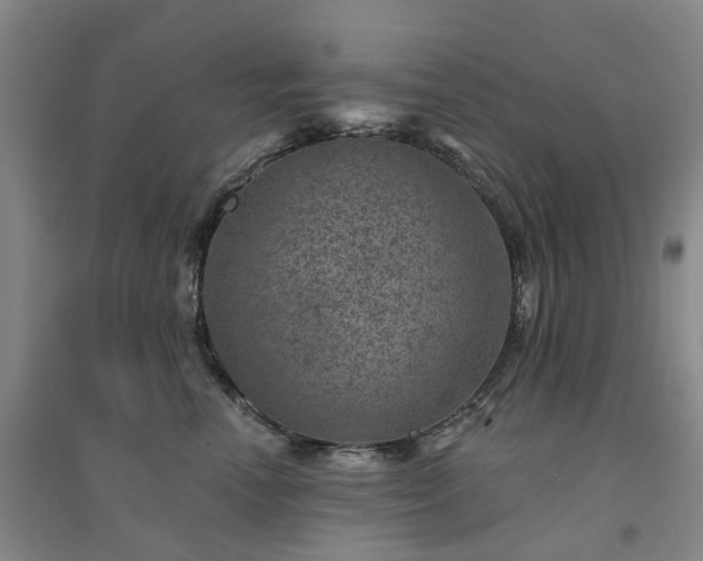 X0000094440666200711151406