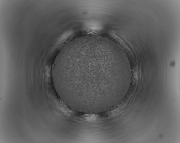 X0000094440667200711151406