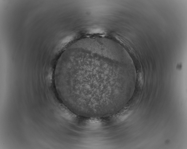 X0000094440668200711151406