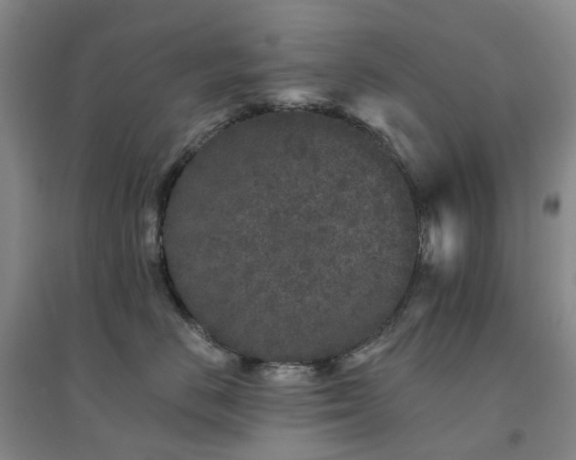X0000094440670200711151406