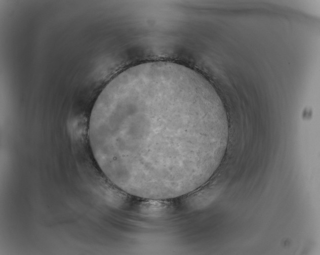 X0000094440672200711151406