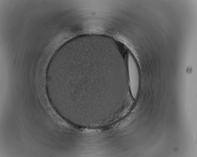 X0000094440673200711151405