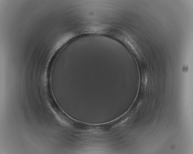 X0000094440674200711151405