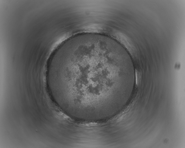 X0000094440675200711151405