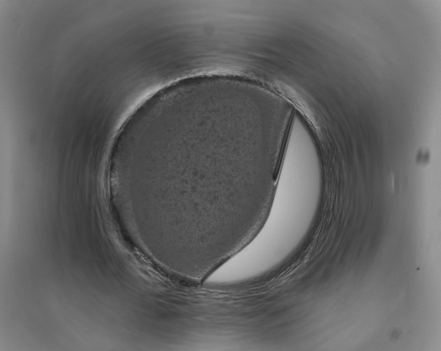 X0000094440676200711151405