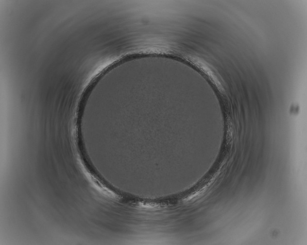 X0000094440677200711151405
