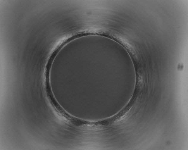 X0000094440678200711151405