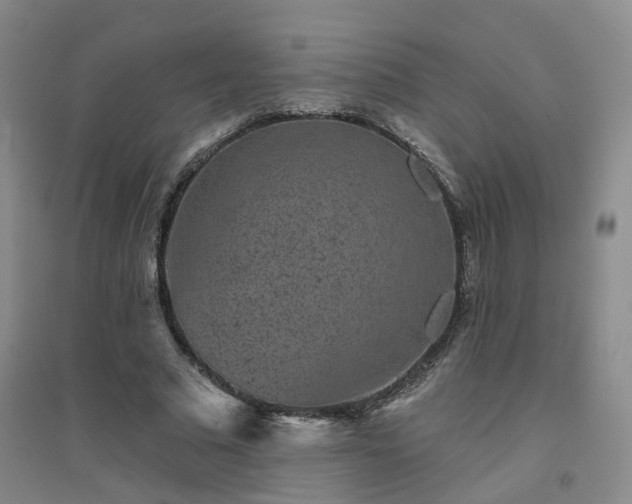 X0000094440681200711151405