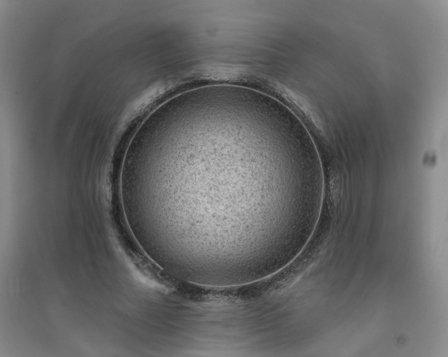 X0000094440682200711151405