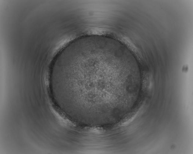 X0000094440683200711151405