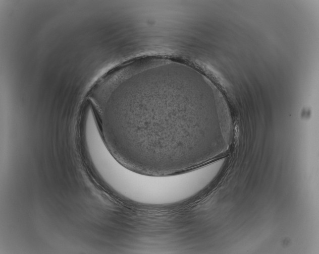 X0000094440684200711151405