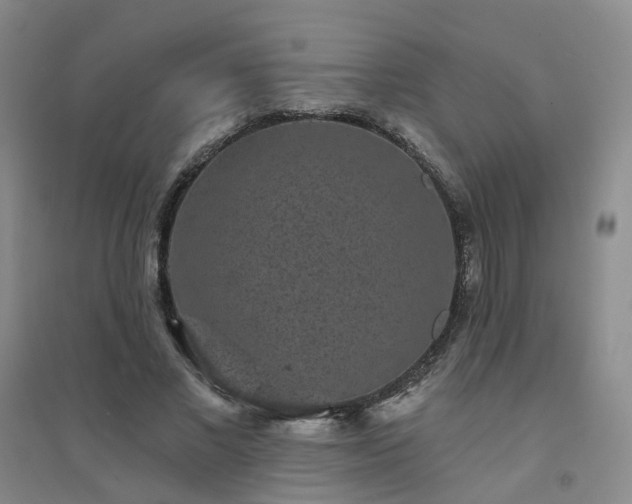 X0000094440685200711151405