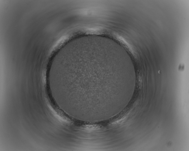 X0000094440686200711151405