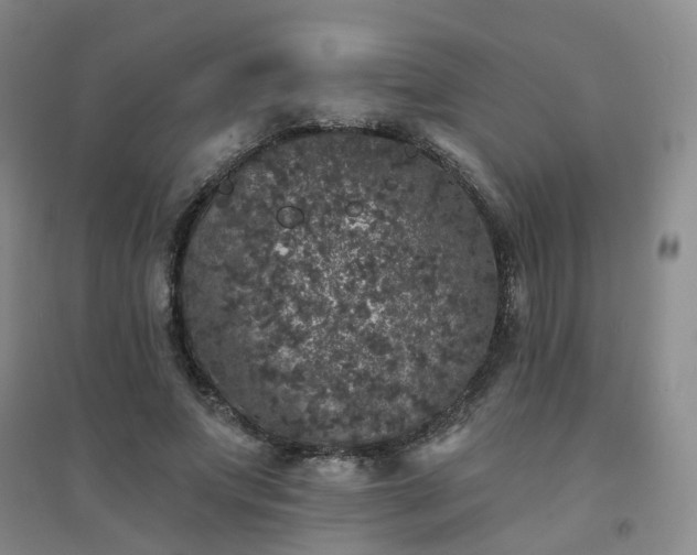 X0000094440687200711151405