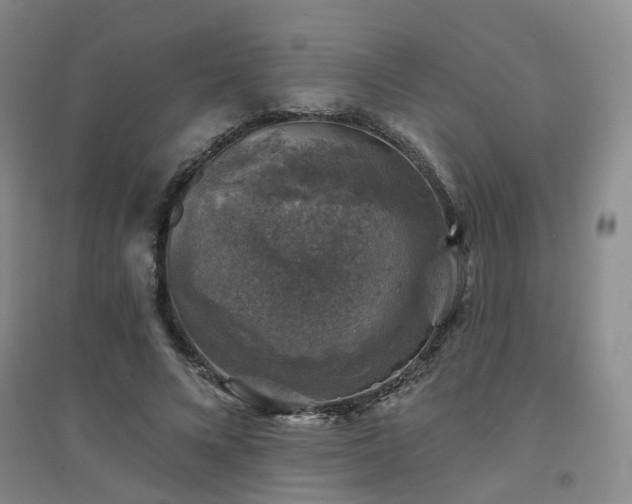 X0000094440688200711151405