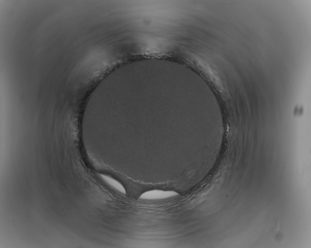 X0000094440689200711151405