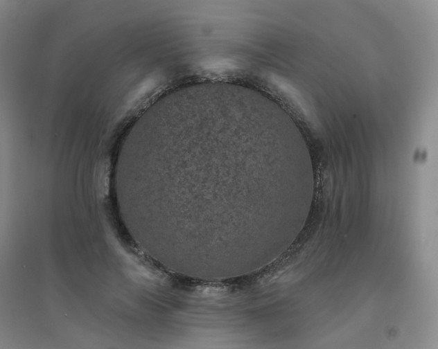 X0000094440694200711151405