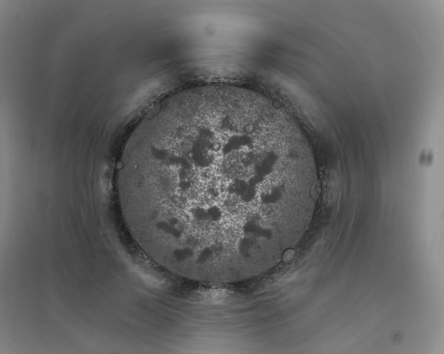 X0000094440695200711151405