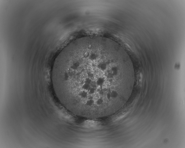 X0000094440699200711151405