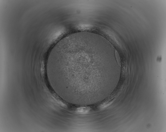X0000094440700200711151405