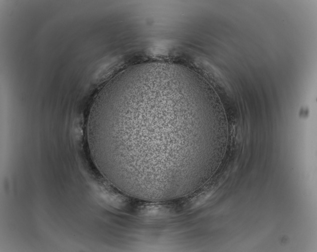 X0000094440702200711151405